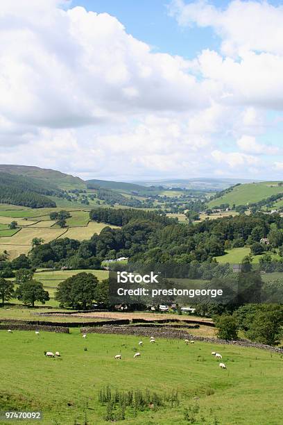 Wharfedale Foto de stock y más banco de imágenes de Yorkshire Dales - Yorkshire Dales, Agricultura, Aire libre