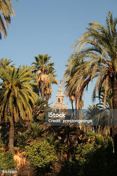 アルカサルの庭園 - アルカザール宮殿のストックフォトや画像を多数ご用意 - アルカザール宮殿, カラー画像, スペイン
