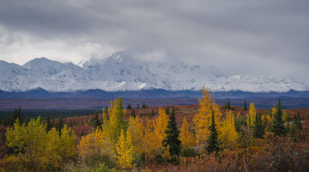 istock Autumnal Denali National Park Scenery in cloudy day 974705286
