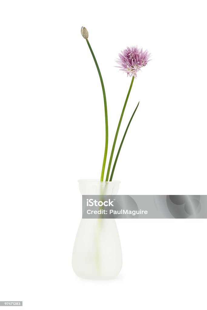 Blumen in vase - Lizenzfrei Blume Stock-Foto