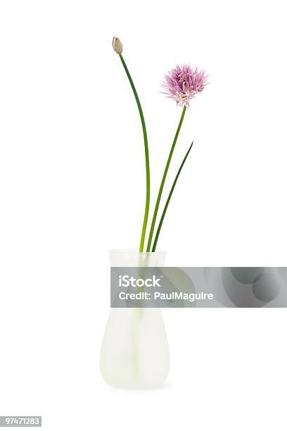 Foto de Em Vaso De Flor e mais fotos de stock de Allium Sativum - Allium Sativum, Arranjo de Flores, Beleza natural - Natureza