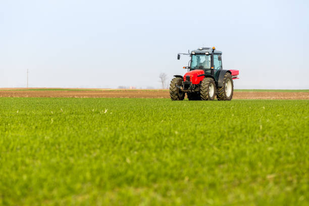 istock Farmer in tractor fertilizing wheat field at spring with npk 974714126