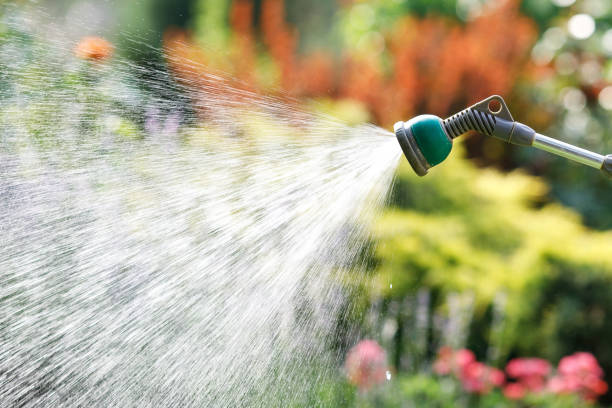 istock Watering garden flowers with hose 974725120