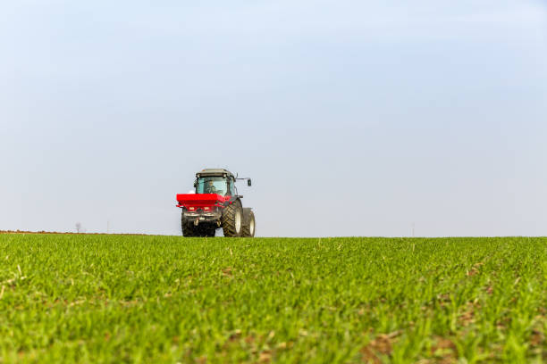 istock Farmer in tractor fertilizing wheat field at spring with npk 974725536