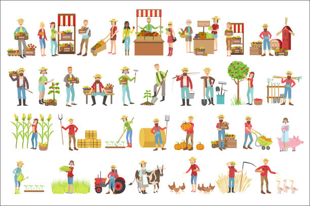 rolników i ich produktów - farmers market illustrations stock illustrations