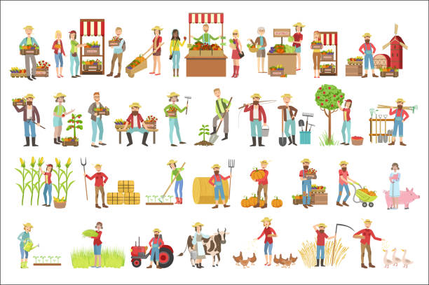 Farmers And Their Products Set Farmers And Their Products Set Of Simple Childish Flat Colorful Illustrations On White Background farmer stock illustrations