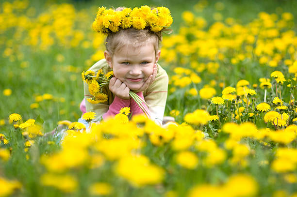 The little girl  with dandelions stock photo