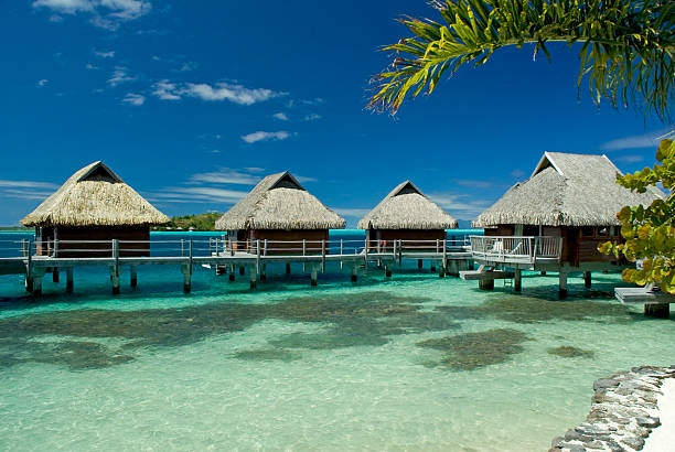 열대의 낙원 - bora bora polynesia beach bungalow 뉴스 사진 이미지