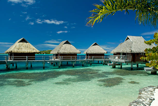 tropikalny raj - bora bora polynesia beach bungalow zdjęcia i obrazy z banku zdjęć