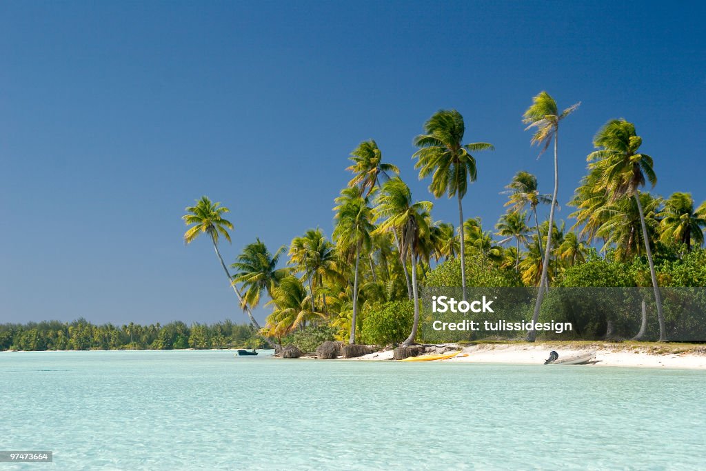 Tropical Paradise  Desert Island Stock Photo