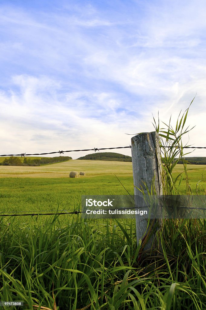 Agricultores de Campo - Royalty-free Alberta Foto de stock