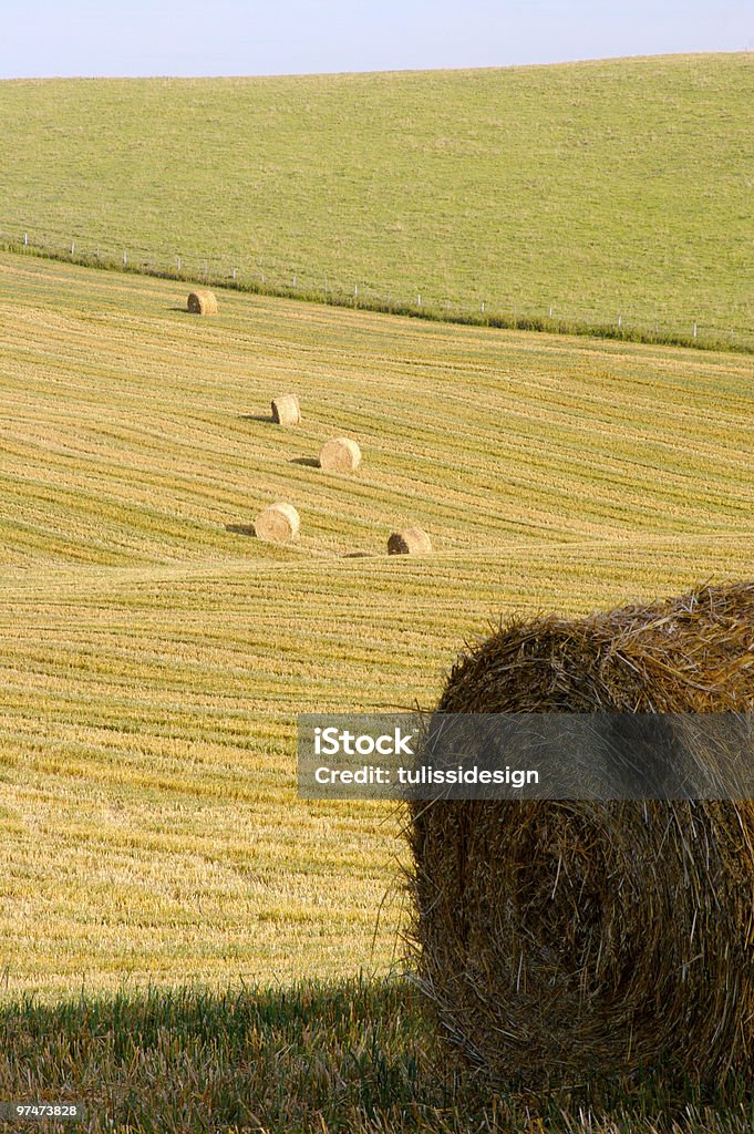 Fieno Bales - Foto stock royalty-free di Alberta