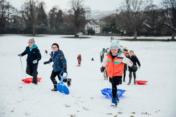 istock Sled Race at the Local Park 974738946