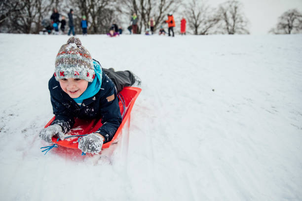 санки, как пингвин - sleding стоковые фото и изображения