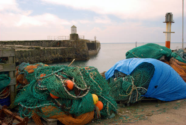 istock harbour pier and fishings nets at Pittenweem in Fife 974739234