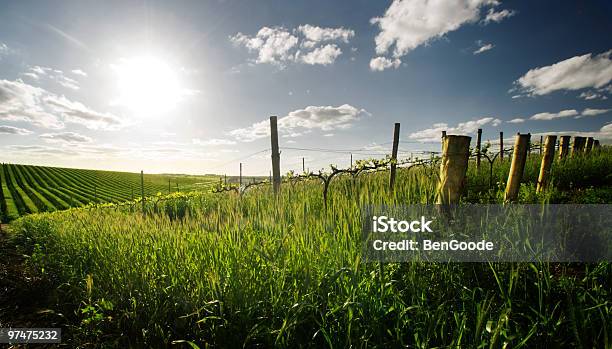 Foto de Primavera Em Barossa Valley e mais fotos de stock de Austrália - Austrália, Vale Barossa, Fazenda