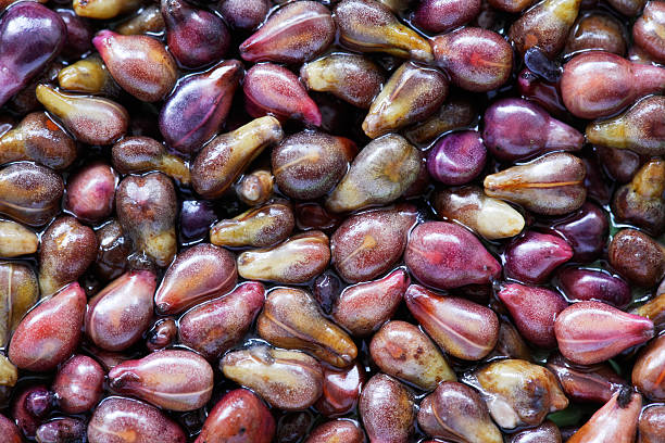 grapes seeds - tohum stok fotoğraflar ve resimler