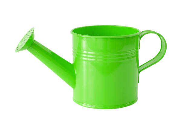 istock Green watering can, isolated on white. 974753830