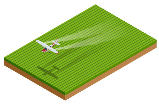 Isometric crop duster applies chemicals to a field of vegetation. Vector illustration Isometric A spray plane or crop duster applies chemicals to a field of crops. over fed stock illustrations