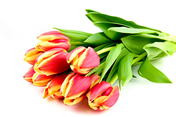 istock Bouqet red with yellow tulips 97477235