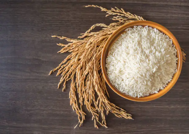 Photo of raw white rice (Thai Jasmine rice)  in brown bowl and and ear of rice or unmilled rice on wooden background