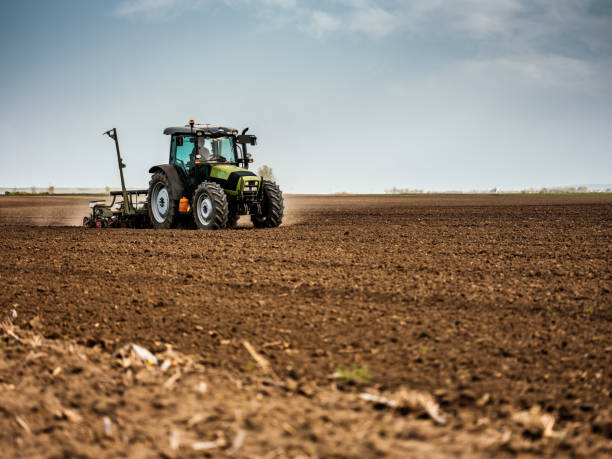 istock Farmer seeding, sowing crops at field. 974785688
