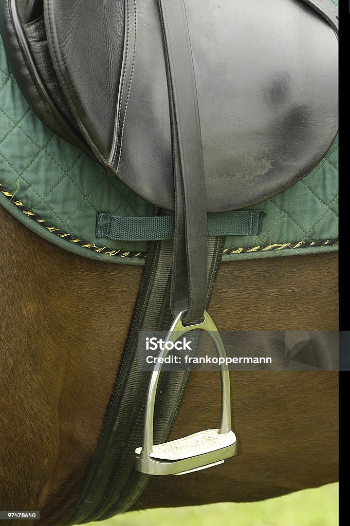 saddle  Color Image Stock Photo