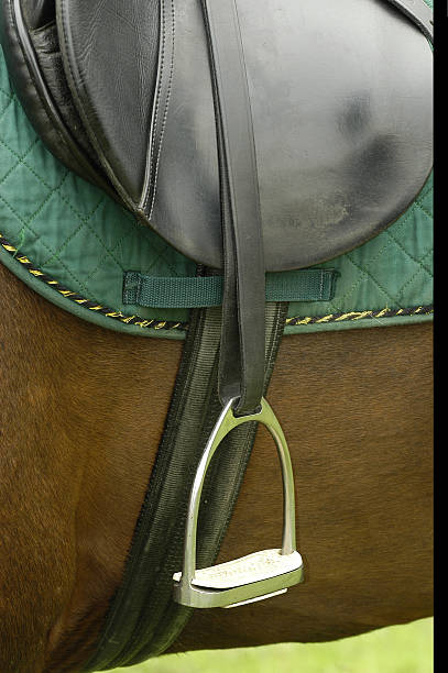 saddle stock photo