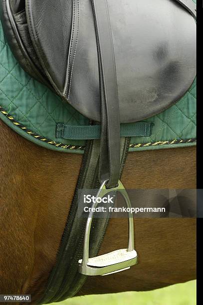 Saddle Stock Photo - Download Image Now - Color Image, Cowhide, Dressage