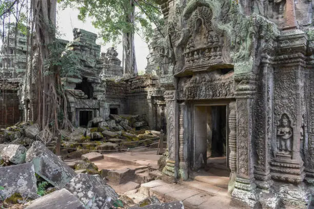 Photo of Ta Prohm temple at Angkor Wat complex, Siem Reap, Cambodia