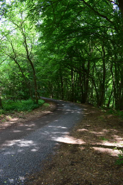 istock gravel road 974790462