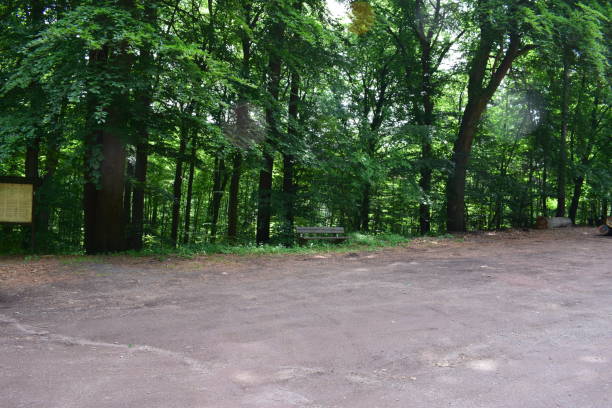 istock gravel road 974793358