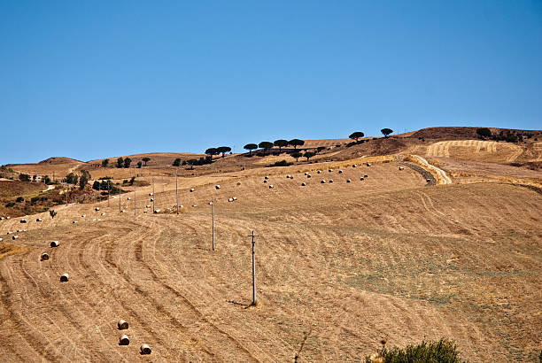 Sicilian hills in Summer stock photo