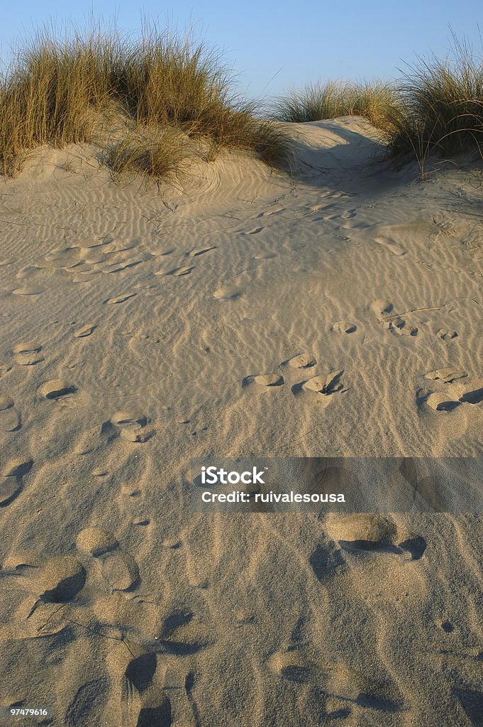 dune - Foto de stock de Adulto royalty-free