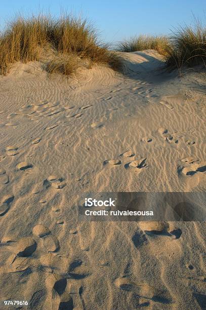 Foto de Dune e mais fotos de stock de Adulto - Adulto, Areia, Aspiração