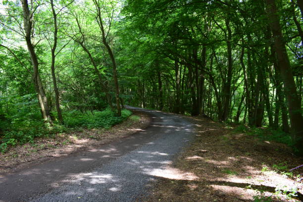 istock gravel road 974797752