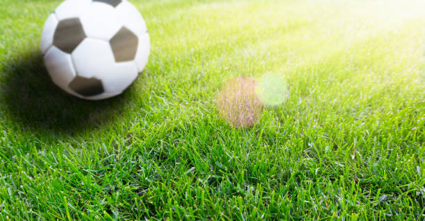istock blurred football on sunny background 974797860