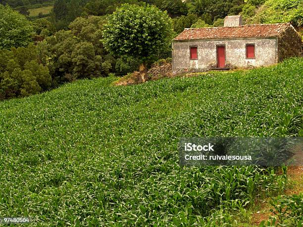 House - Fotografie stock e altre immagini di Ambientazione esterna - Ambientazione esterna, Antico - Condizione, Azzorre