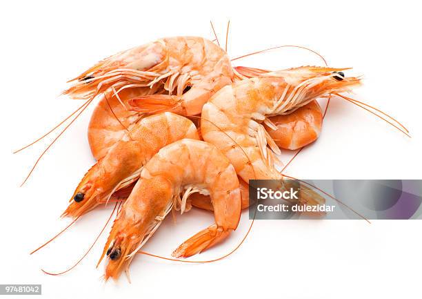 Prawn — стоковые фотографии и другие картинки Креветка - морепродукт - Креветка - морепродукт, Приготовленная еда, Без людей