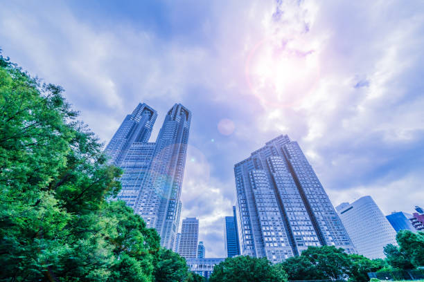 istock Fresh green and Shinjuku skyscraper group 974821184