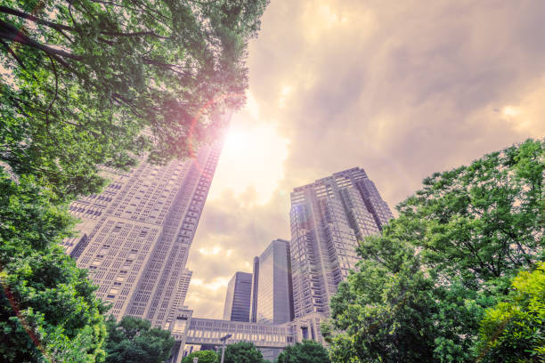 istock Fresh green and Shinjuku skyscraper group 974821428