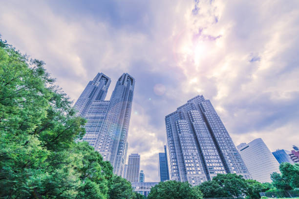istock Fresh green and Shinjuku skyscraper group 974821598