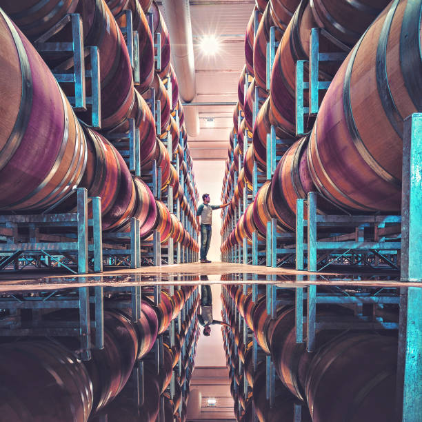 Man standing between line of stacked wine barrels with reflection in floor water Man standing between a line of stacked wine barrels with reflection in floor water Stellenbosch South Africa stellenbosch stock pictures, royalty-free photos & images