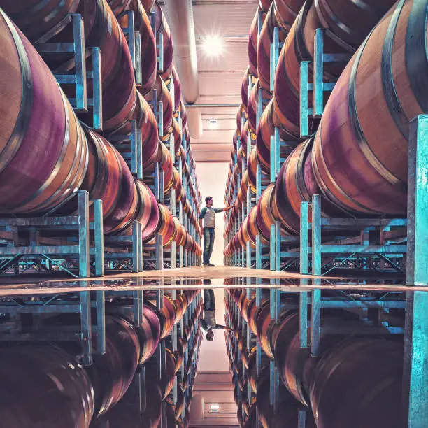 Photo of Man standing between line of stacked wine barrels with reflection in floor water