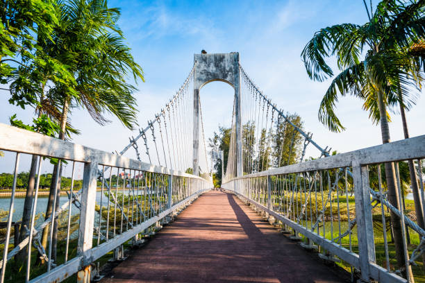 istock The metal rope bridge 974842382