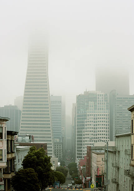 Frisco skyscrapers in the fog stock photo