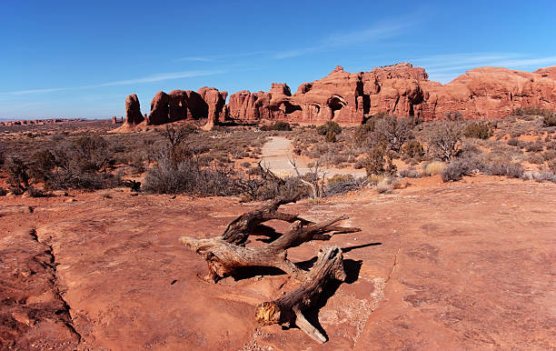 Arches National Park panorama stock photo