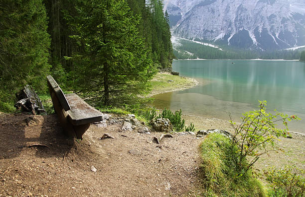 Staring at the lake stock photo