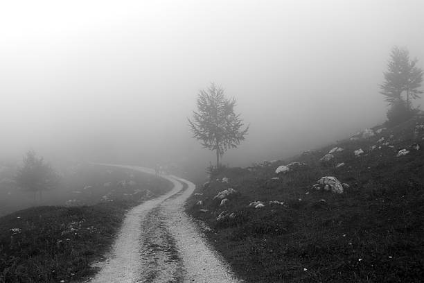 Foggy path stock photo