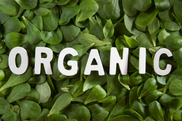 istock Healthy Eating Concept with Purslane 974853472